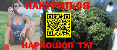 прущие грибы Абакан