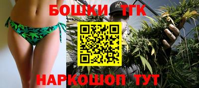 прущие грибы Абакан